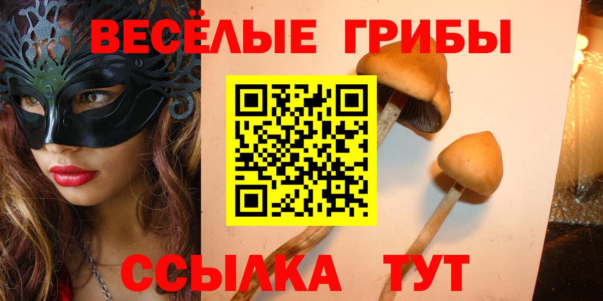 Псилоцибиновые грибы прущие грибы Салехард