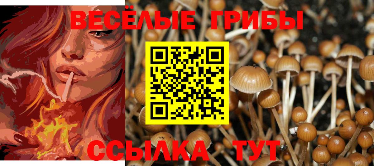 закладка  Вход с VPN  Салехард  Псилоцибиновые грибы ЛСД 